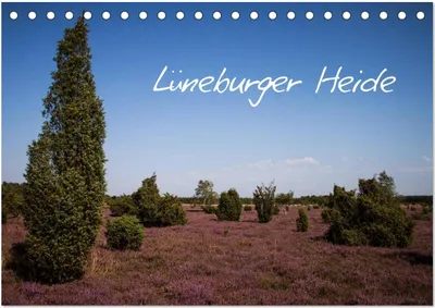 Produktbild von Lüneburger Heide (Tischkalender 2026 DIN A5 quer), CALVENDO Monatskalender