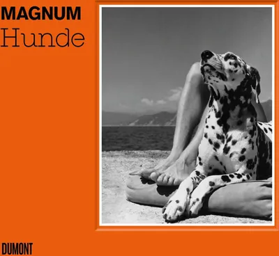 Produktbild von Hunde