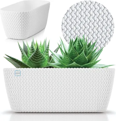 A white planter with a textured pattern, containing two succulent plants. A close-up of the planter's texture is shown in a circle at the top right, and a smaller planter is shown at the top left.