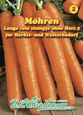 Produktbild von Speisemöhre Lange rote stumpfe 2 | Möhrensamen von N.L. Chrestensen