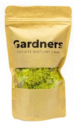 Produktbild von Verdissimo, stabilisierter Islandmoos, 50 g, hellgrün