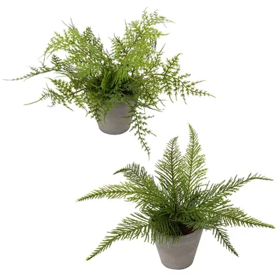 Image de 2 fougères de Boston artificielles, plantes d'intérieur en pot, pour la maison, le bureau, la véranda, la décoration de mariage, plantes vertes