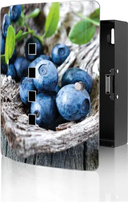 Produktbild von banjado Design Schlüsselkasten aus Edelstahl für 10 Schlüssel, Schlüsselschrank 24 x 21,5 x 7cm groß mit Magnetverschluss,  Blaubeeren [BWSK 12915]