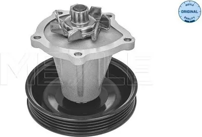 Produktbild von MEYLE 29-13 220 0002 Kühlmittelpumpe Wasserpumpe mit Keilrippenriemenscheibe für CHEVROLET SPARK (M300) Aveo / Kalos Schrägheck (T250, T255)