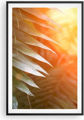 Produktbild von Gerahmtes Poster - Schwarzer Rahmen - Exotisch Blätter Dämmerung - 61x91,5 cm - Wand Bild - Wanddeko - Wandbilder - Kunstposter - Wandposter - Bilderrahmen - Bilder - Kunstdruck - P2BPA61x91-4807
