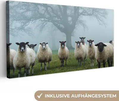 Produktbild von MuchoWow® - Leinwandbilder - Schaf - Baum - Nebel, Wandbild, Wanddeko Bilder Wohnzimmer, 80x40cm