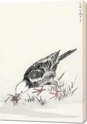 Produktbild von Bild 70x100cm Bulbul, Japanische Kashu Vintage für das Wohnzimmer