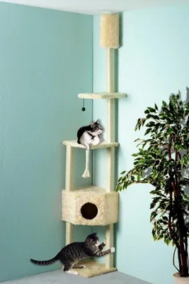Produktbild von Cat Bonbon Cat Dream Eck-Kratzbaum beige