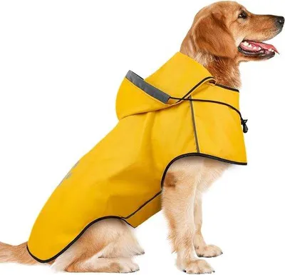 Produktbild von Wasserdichter Hundeanzug mit Kapuze und Sicherheitsstreifen - Anpassbare Tierjacke für große, mittlere und kleine Hunde.