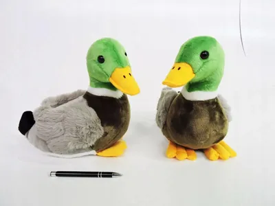 Obrázok produktu pre PLUSZ kaczka, 28 cm