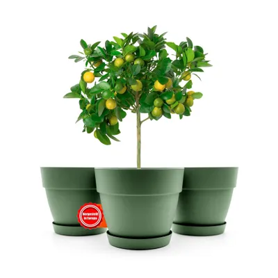 Produktbild von BigDean 3 Stück Blumentopf mit Untersetzer rund ø47 cm in Olivgrün – Übertopf innen + außen geeignet – aus bruchsicherem Kunststoff & Europe