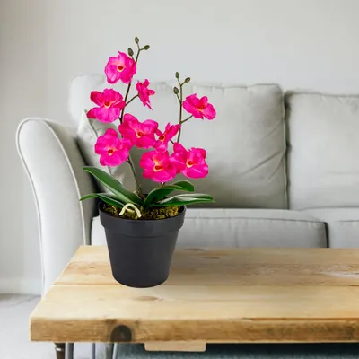 Produktbild von Decovego künstliche Orchidee, Kunstpflanze 35 cm Rosa/Pink, Kunstblume für Wohn- & Büroräume, Allergikerfreundlich & Pflegeleicht