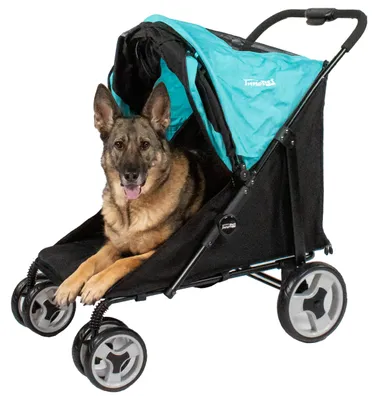 Image de Poussette pour chien InnoPet Mamut avec housse de pluie Poussette pour chiens de grande taille