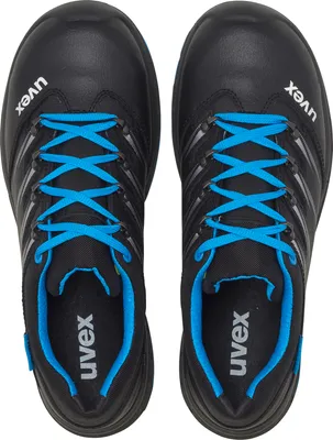 A top-down view of a pair of black safety shoes with blue laces.