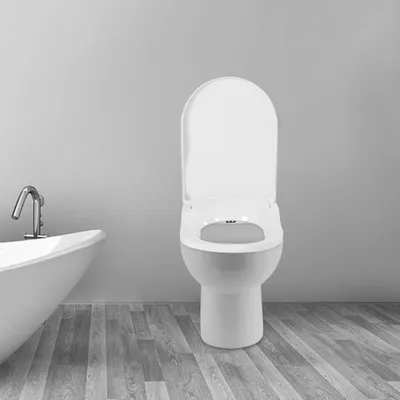Produktbild von WC-Sitz mit Bidet - D-Form - PP-Kunststoff - 2 Düsen (Damen+Gesäß) - 3 Spüllöcher - Lochabstand 11,5–16,5 cm - Weiß