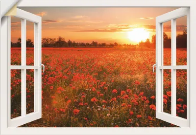 Produktbild von ARTland Wandbild, selbstklebend Fensterblick Mohnblumenfeld - weiß Größe: 70x50 cm