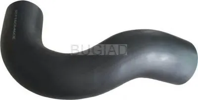 Image de BUGIAD Tuyau d'air de suralimentation