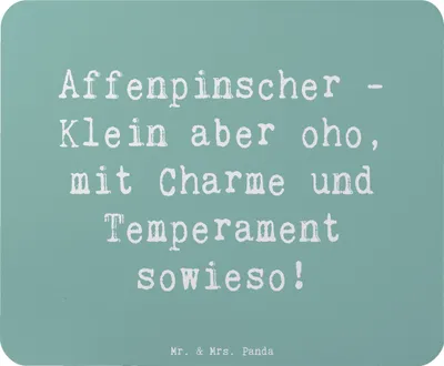 Produktbild von Mr. & Mrs. Panda Mousepad Spruch Affenpinscher Charme - Meeresbrise - Geschenk, mousematte, zotteliges Fell, Hundecharm, Hunderasse, Hunderassen Eigenschaften, Pflege