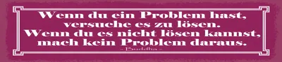 Produktbild von vianmo Holzschild 10x46 cm Zitat  Wenn du ein Problem hast