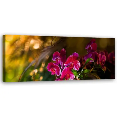 Produktbild von Leinwandbild Orchideen-Zen 120x40 Feeby Grün bild für die wand bereit zum aufhängen
