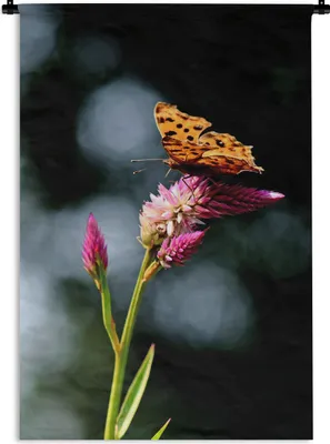 Produktbild von MuchoWow® Wandteppich Wandbehang Schmetterling - Blumen - Insekten 90x135 cm Tapisserie Dekoration Wandtuch - Baumwolle - Wandskulptur