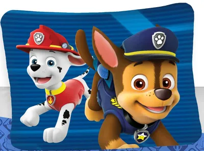 Zdjęcie produktu dla Paw Patrol dreumesBettbezug Party 100 x 135 cm Baumwolle