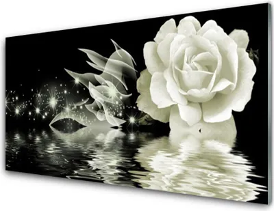 Produktbild von Acrylglasbilder 100x50 Wandbild Druck Rose Pflanzen