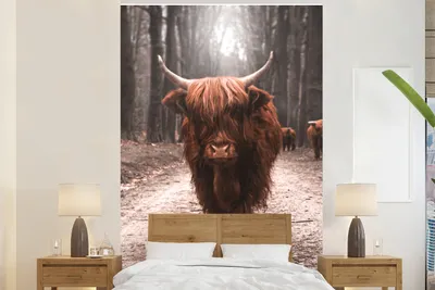 Produktbild von MuchoWow® Fototapete für Wohnzimmer oder Schlafzimmer Wandtapete Vinyl Motivtapete Schottischer Highlander - Tier - Nahaufnahme - 195x300 cm - Das Hintergrundbild