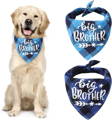 Image de Bandanas pour chiens - Coton - Respirant - Noir et bleu