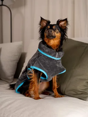 Produktbild von TrendPet Dampfhund Hundebademantel Gr. 01