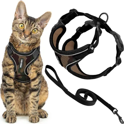 Ausbruchssicheres Katzengeschirr mit Leine, reflektierend, 1,5 m