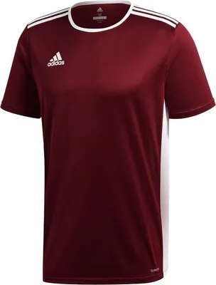 Image de Adidas Entrada 18 Jersey