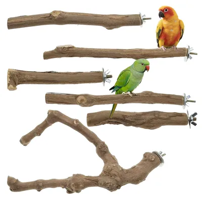 Image de Solidchoice - Perchoirs en bois naturel pour oiseaux - Lot de 6