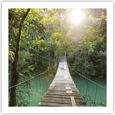 Produktbild von Poster - Poster ohne Rahmen - Brücke Seil Dschungel - 60x60 cm - Wand Bild - Wanddeko - Wandbilder - Kunstposter - Wandposter - Bilder - Kunstdruck - Wanddekoration - Wandbild - P2XAC60x60-4397