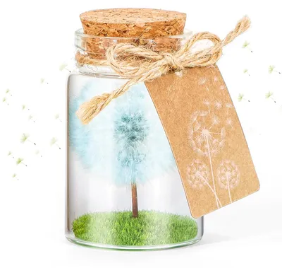 Wunschfüller mit echter Löwenzahnblüte im Glas, Geschenkbox, hellblau