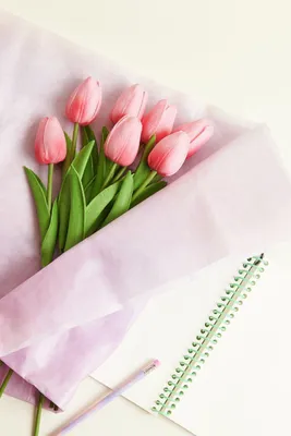 Produktbild von Tulpenstrauß Pink mit 7 Blüten 33,5cm