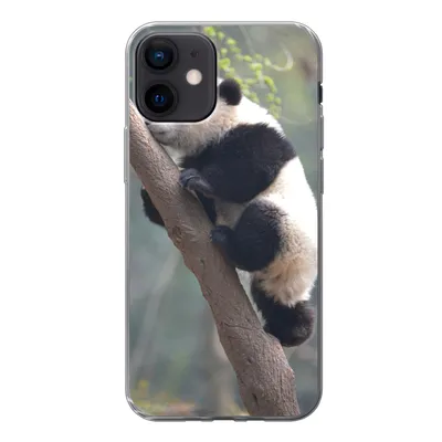 Produktbild von MuchoWow® Handyhülle Schutzhülle Hülle für iPhone 12 Panda - Tier - Baum Silikon Softcase Handy Hülle - Schutzhülle