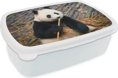Produktbild von KitchenYeah® Lunchbox Brotzeit Brotdose 17x11 cm Panda - Bambus - Blätter Kinder Brotzeitdose - Lunch Box - Kinder - Sandwich-Box - Schulbox - Lunch Boxen