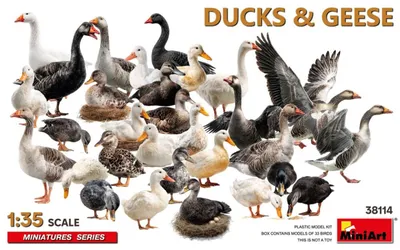 Imagen del producto de MINIART MA38114: Patos y gansos