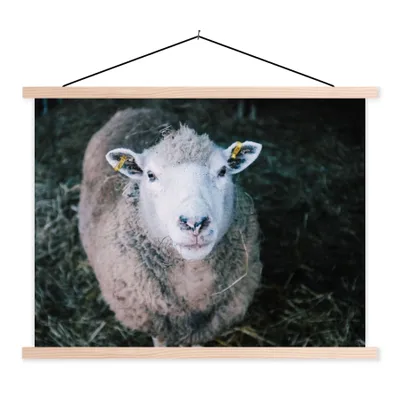 Produktbild von MuchoWow® Textilposter Schafe - Tiere - Rinder 60x45 cm mit holzfarbenen Rahmen - Bild