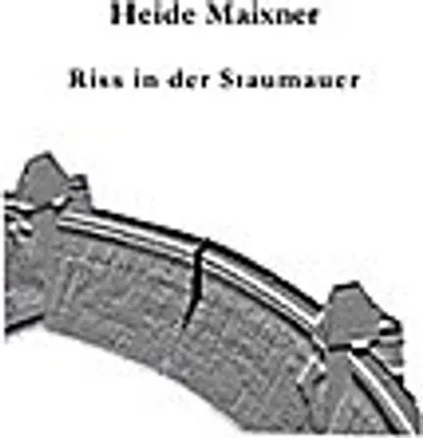Produktbild von Riss in der Staumauer