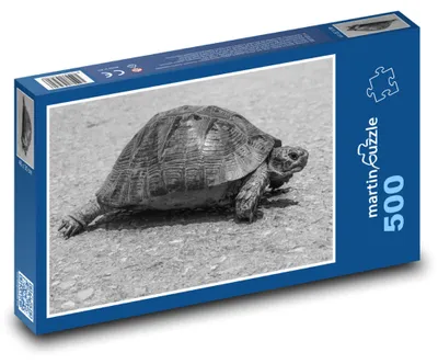 Obrázek produktu pro martinpuzzle - Puzzle 500 - Želva na cestě
