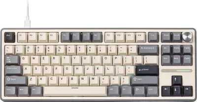 Image de ROYAL KLUDGE R87Pro Half Grey Gaming Keyboard Brown switch