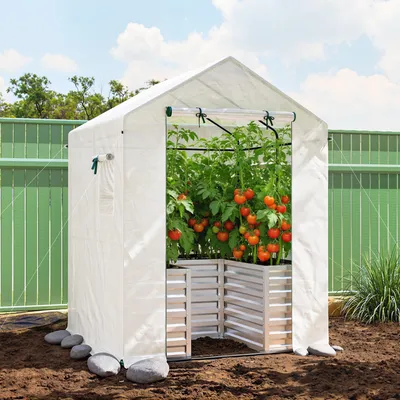 Produktbild von Tomatengewächshaus 2-in-1 mit Hochbeet, Foliengewächshaus, Treibhaus, Weiß | 141 x 141 x 190 cm | 135 g/m² PE, UV-beständig | Stahl verzinkt