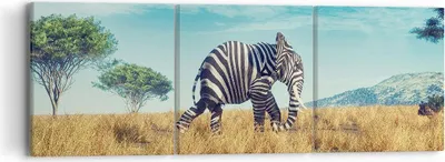 Produktbild von Bild auf Leinwand - Leinwandbild - 3 Teile - Surreal Elefant Rippen - 90x30cm - Wand Bild - Wanddeko - Wandbilder - Leinwanddruck - Bilder - Wanddekoration - Leinwand bilder - Wandbild - CA90x30-4717