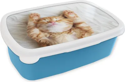 Produktbild von KitchenYeah® Lunchbox Brotzeit Brotdose 17x11 cm Katze - Rot - Haustiere - Kätzchen Kinder Brotzeitdose - Lunch - Kunststoff  - Brotbüchse - Sandwichbox - Lunchbox für Kinder