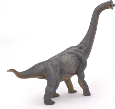 Image de Papo Dinosaures Brachiosaurus 55030