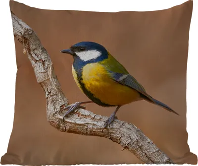 Produktbild von MuchoWow® Outdoor Kissen - Vogel - Kohlmeise - Zweige - 40x40 cm - Wetterfest - Lounge Kissen - Kopfkissen - Interieur - Polster mit Bild