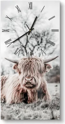 Produktbild von DEQORI Glasuhr 30x60 cm Römisch 'Ruhendes Hochland' Wanduhr Glas Uhr Design leise Küchenuhr