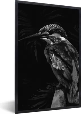 Produktbild von MuchoWow® Gerahmtes Poster Vogel auf einem Zweig vor einem schwarzen Hintergrund - schwarz und weiß 20x30 cm - Poster mit Schwarzem Bilderrahmen Wandposter Rahmen Foto Bilder - Drucken - Bilder Poster im Rahmen